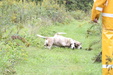 Enlarge photo 15