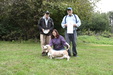 Field Trial