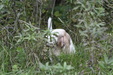 Enlarge photo 36