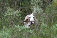Enlarge photo 35