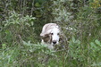 Enlarge photo 33