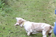 Enlarge photo 30