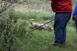 Enlarge photo 27