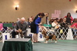 Enlarge photo 172
