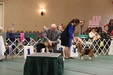 Enlarge photo 171
