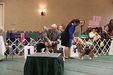 Enlarge photo 169