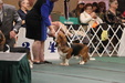 Enlarge photo 170