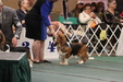 Enlarge photo 168