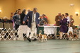 Enlarge photo 167