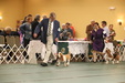 Enlarge photo 166