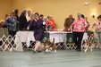 Enlarge photo 159