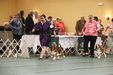 Enlarge photo 158