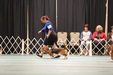 Enlarge photo 156
