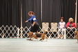 Enlarge photo 154