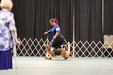 Enlarge photo 144