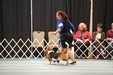 Enlarge photo 30