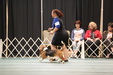 Enlarge photo 26