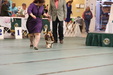 Enlarge photo 48