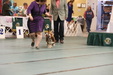 Enlarge photo 47