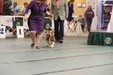 Enlarge photo 46