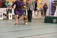 Enlarge photo 45
