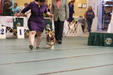 Enlarge photo 44