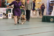 Enlarge photo 42