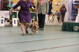 Enlarge photo 41