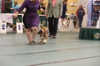 Enlarge photo 40