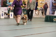 Enlarge photo 39