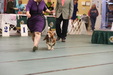 Enlarge photo 38