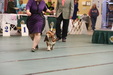 Enlarge photo 37