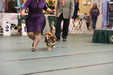 Enlarge photo 36