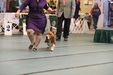 Enlarge photo 35