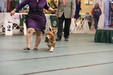 Enlarge photo 34