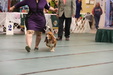 Enlarge photo 33