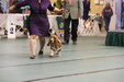 Enlarge photo 32