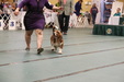 Enlarge photo 31