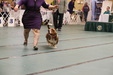 Enlarge photo 30