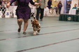 Enlarge photo 28