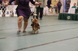Enlarge photo 27