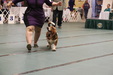 Enlarge photo 26