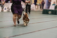 Enlarge photo 25
