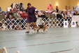 Enlarge photo 18