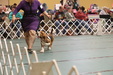 Futurity