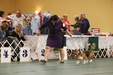 Enlarge photo 162