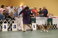 Enlarge photo 161