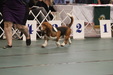 Enlarge photo 158