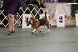 Enlarge photo 157