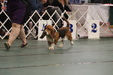 Enlarge photo 156